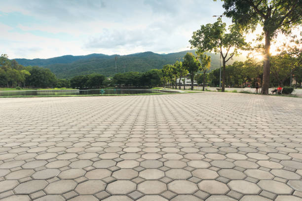 Best Local Driveway Pavers  in Mshall, AR